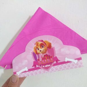 Servilletero de Papel